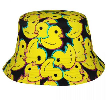 bob reflechissant canard