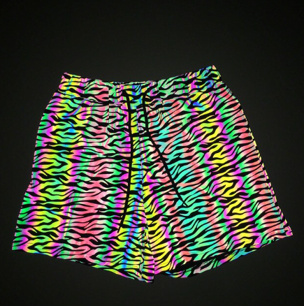 short zebre reflechissant